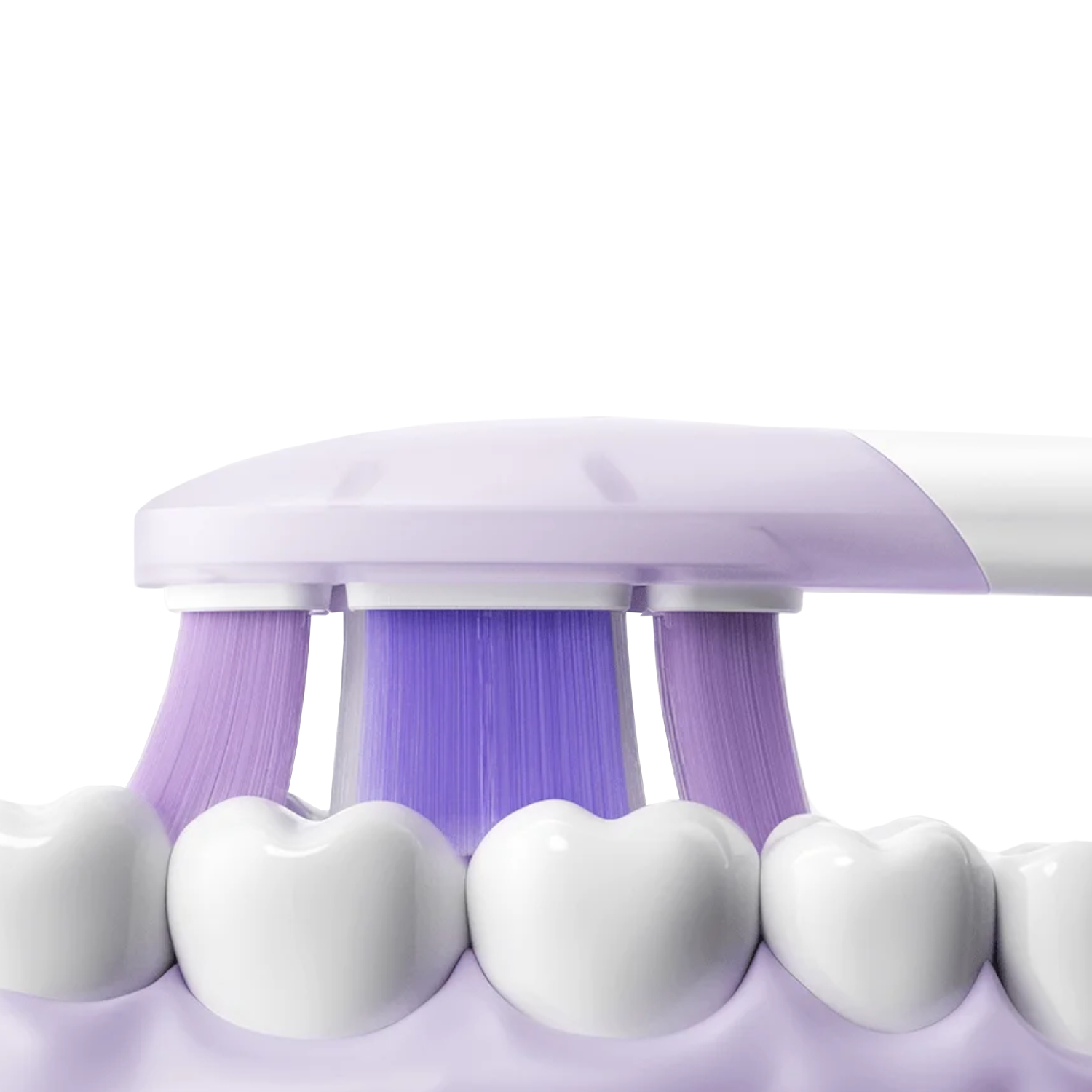 BHR07ZRTY_Xiaomi-Oscillation-Electric-Toothbrush-Replacement-Heads-Soft_wr_06a