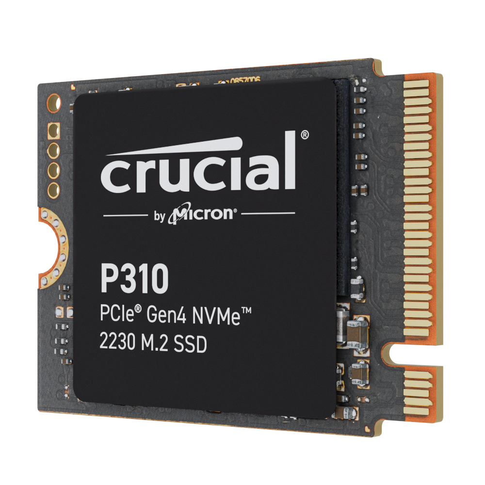 CT1000P310SSD2_wr_03a