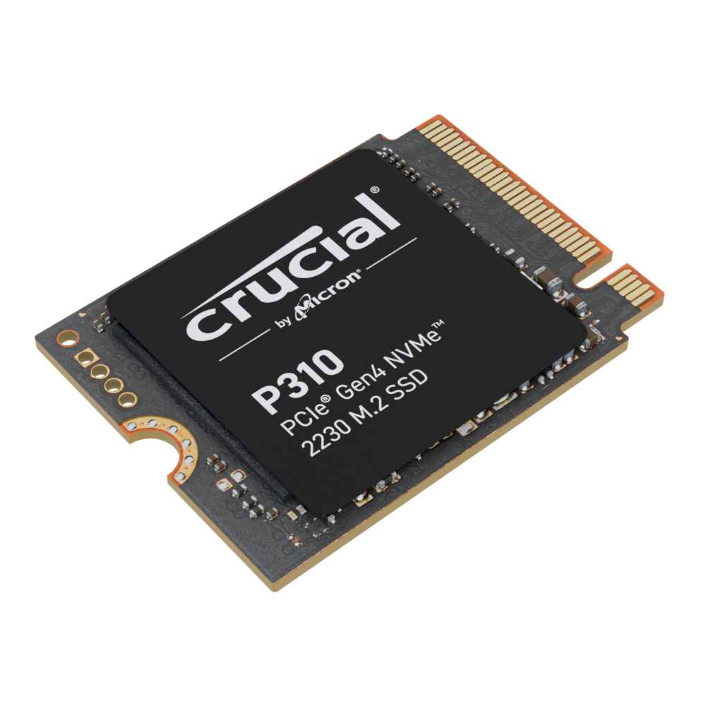 CT1000P310SSD2_wr_04a