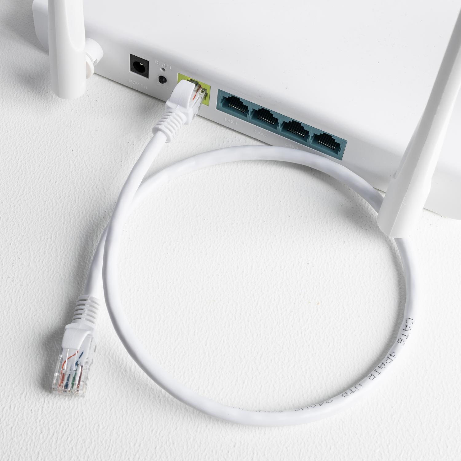 GCPCAT6010-WH_wr_03a