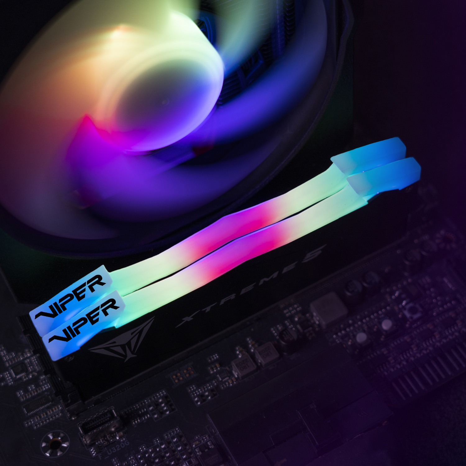 PATRIOT_PVXR532G80C38K_wr_05a