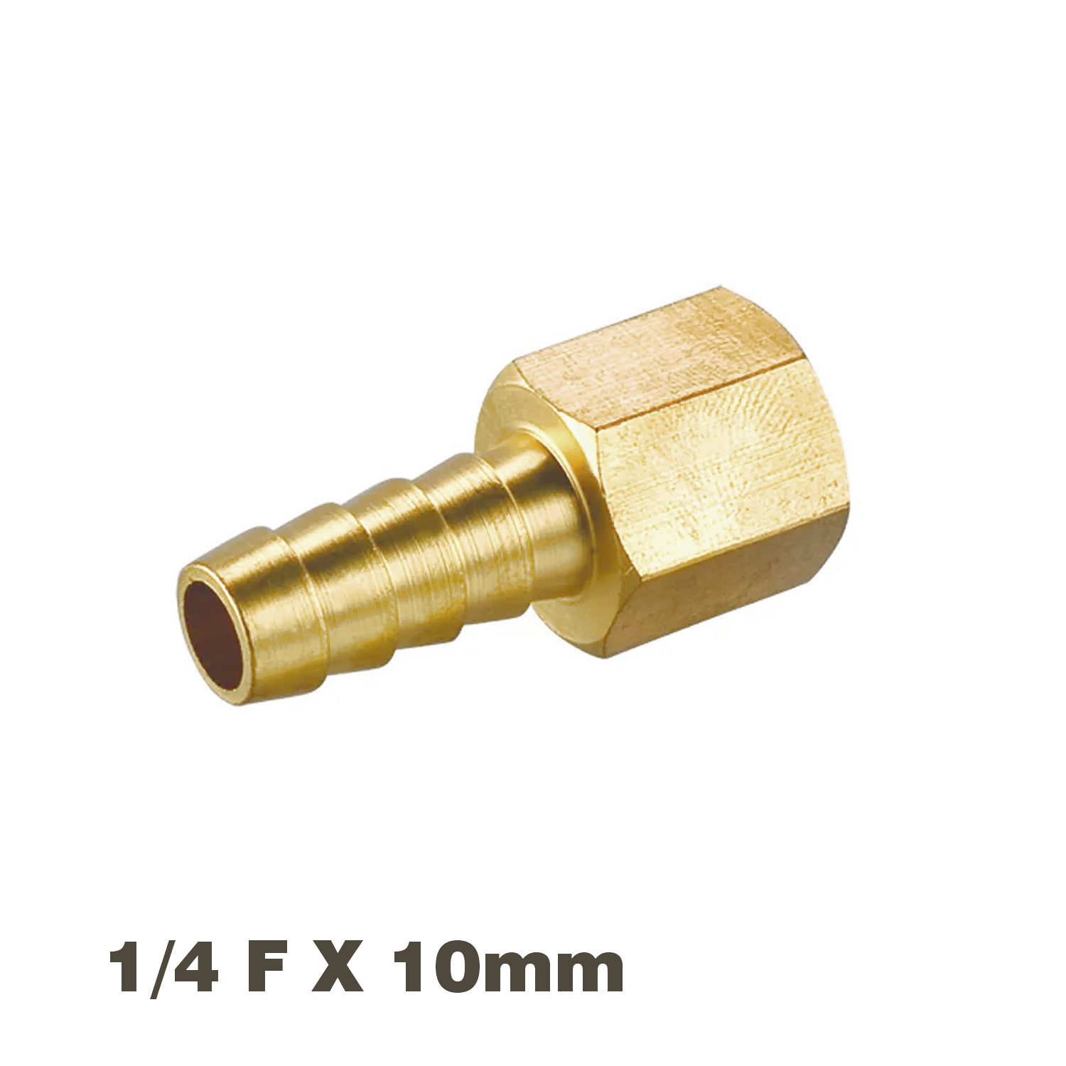 HOSE TAIL CONNECTOR BRASS 1/4F X 10MM