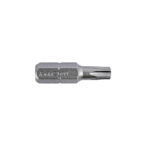 TORX TAMPER RESISTANT INSERT BIT T25H X 25MM BULK